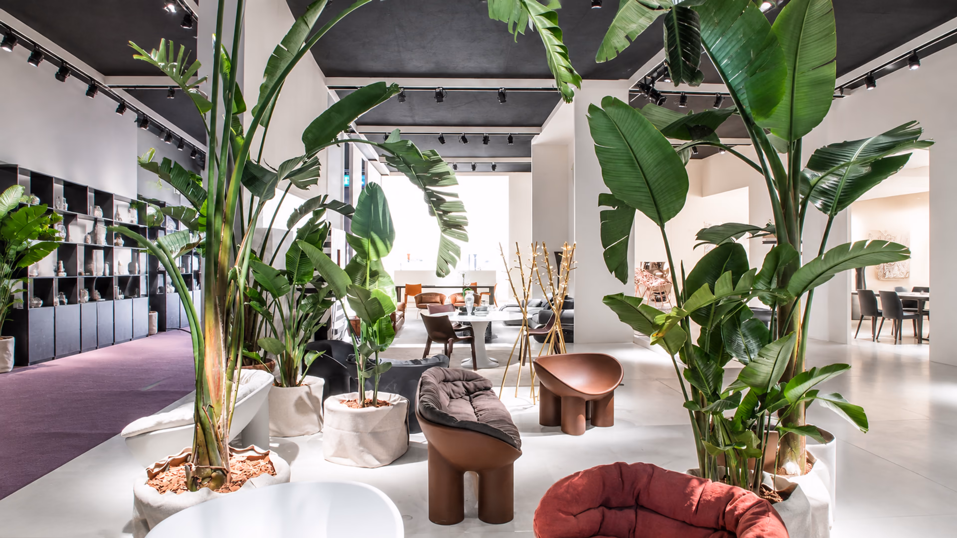 Driade Roly Poly seating in a plant-filled furniture display