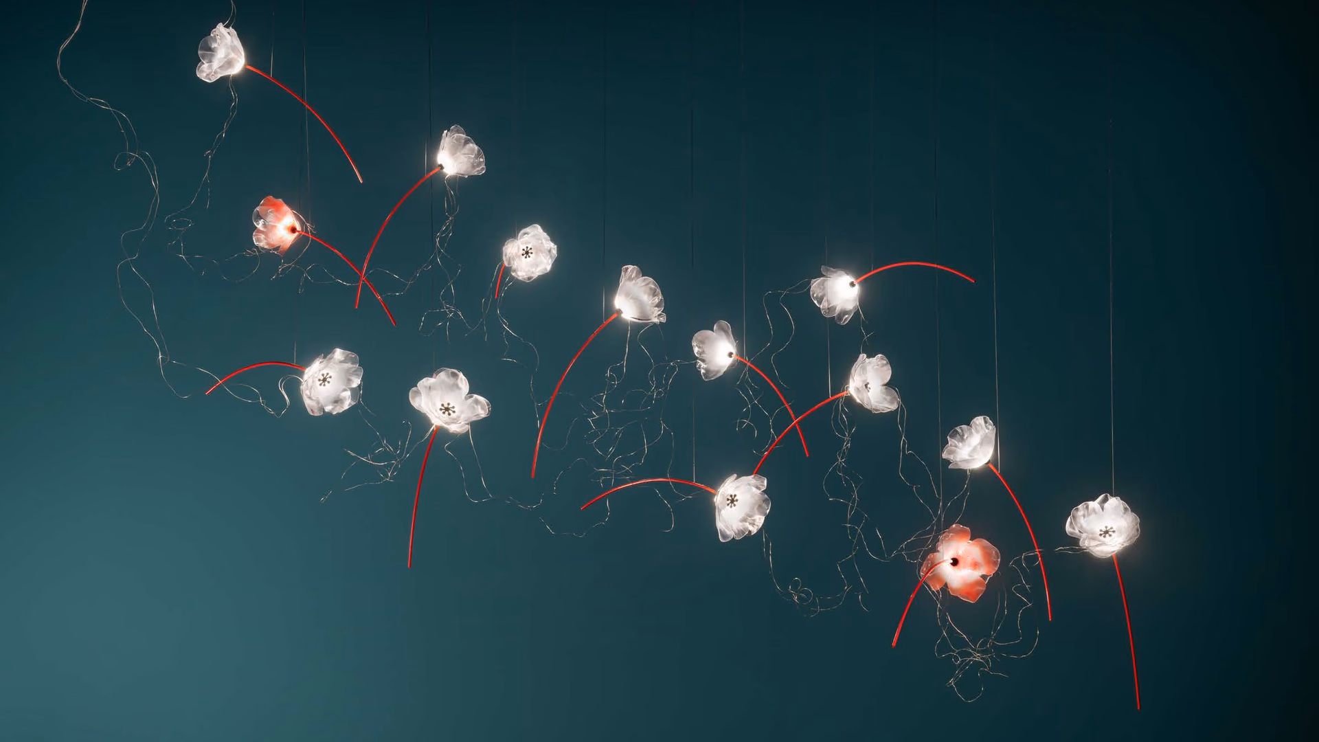 Slamp Poppy suspension flowers on red stems scattered across a deep teal backdrop