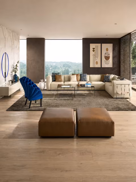 Cappellini furniture